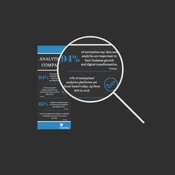 Infographics - Analytics in companies