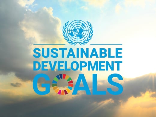 un sdgs