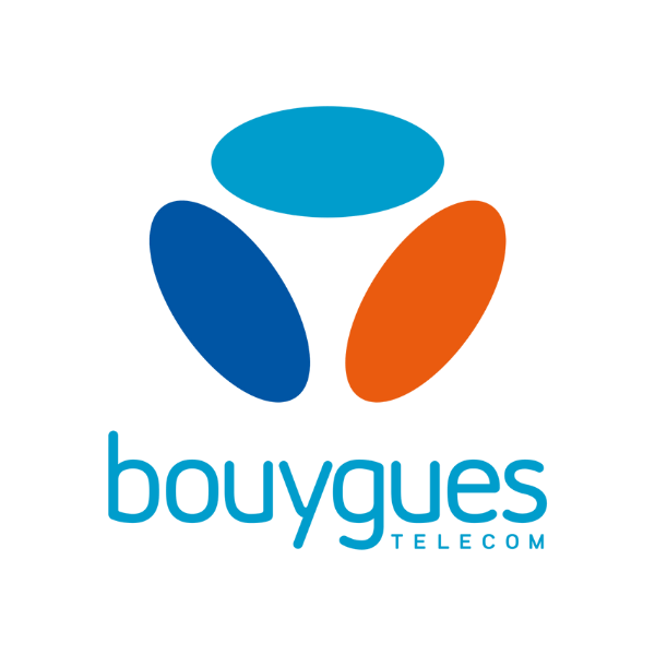 Bouygues logo color