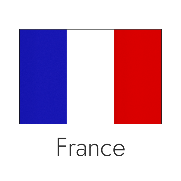 France logo color